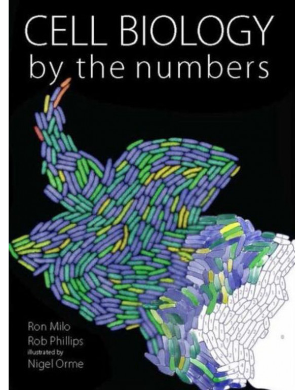 Cell Biology by the Numbers by Ron Milo, Rob Phill...
