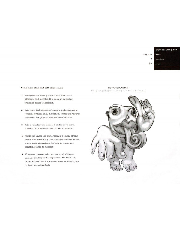 Explain Pain Book 2nd edition by Butler David & G. Lorimer Moseley - Pain Relief