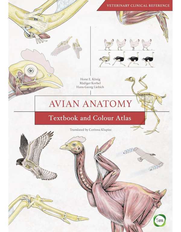 Avian Anatomy Textbook And Colour Atlas By Horst E...